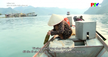 Tiếng Thái - Mùa cá ngần trên sông Đà