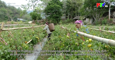 Tiếng Thái - Tín dụng chính sách Điểm tựa vùng dân tộc