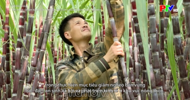 Tiếng Thái - Tín dụng chính sách giữ nhịp an sinh cho người dân thoát nghèo