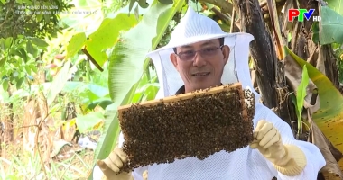 Tiếp sức cho nông dân phát triển kinh tế