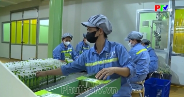 Thị trường tiêu dùng ngày 20-10-2026