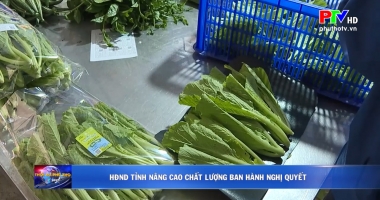 HĐND tỉnh nâng cao chất lượng ban hành nghị quyết
