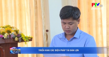 Triển khai các biện pháp tái đàn lợn
