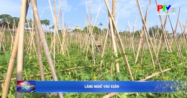 Làng nghề vào xuân