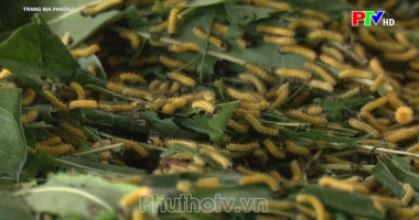 Trang địa phương ngày 8-9-2022