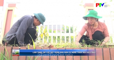 Trang địa phương ngày 24-11-2022