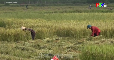 Trang địa phương ngày 6-10-2022