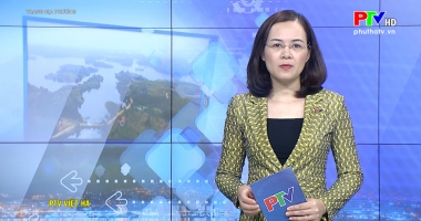 Trang địa phương ngày 26-11-2020