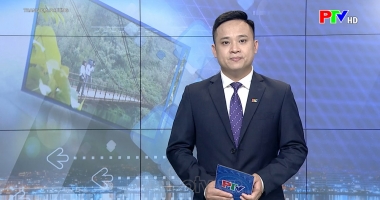 Trang địa phương ngày 10-3-2022