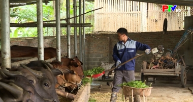 Trang địa phương 9-2-2026