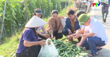 Trang địa phương ngày 04-05-2026