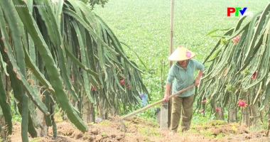 Trang địa phương ngày 06-07-2026