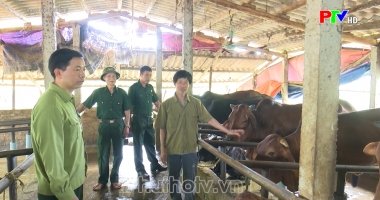 Trang địa phương ngày 1-2-2024