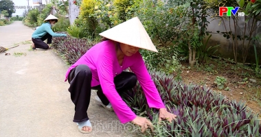 Trang địa phương ngày 10-08-2026