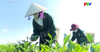 Trang địa phương ngày 16-3-2026