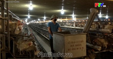 Trang địa phương ngày 17-10-2024