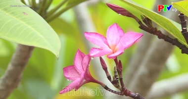 Trang địa phương ngày 18-7-2024