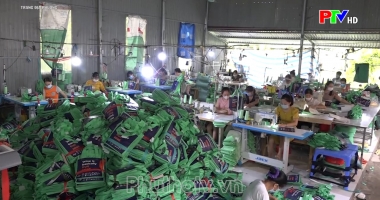 Trang địa phương ngày 18-8-2022