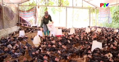 Trang địa phương ngày 20-4-2026