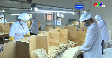 Trang địa phương ngày 21-09-2026