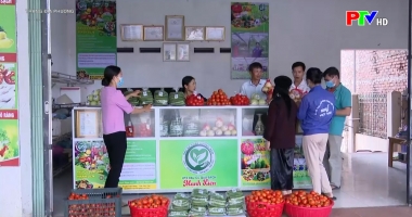 Trang địa phương ngày 23-6-2022