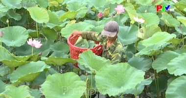 Trang địa phương ngày 27-07-2026