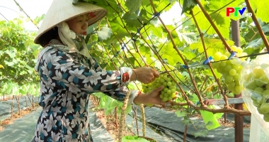 Trang địa phương ngày 29-9-2025