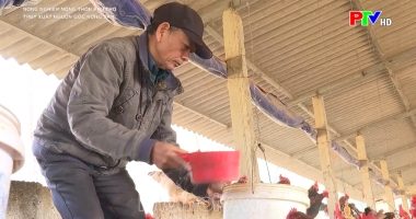 Truy xuất nguồn gốc nông sản