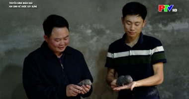 Truyền hình nhân đạo - Khi sinh kế được xây dựng