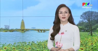 Chương trình thời sự ngày 17-6-2021