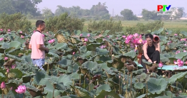 Thị trường tiêu dùng ngày 21-6-2021