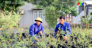 Từ hợp nhất đến chuyển động mới