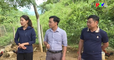 Từ trang trại đến bàn ăn