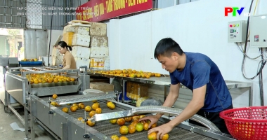 Ứng dụng công nghệ trong nông nghiệp