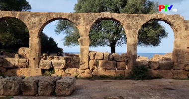 Văn hóa giải trí thế giới ngày 15-1-2026