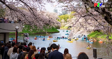 Văn hóa giải trí thế giới ngày 6-11-2025