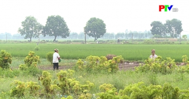 Văn hóa văn nghệ Đất Tổ - Tên đất tên làng