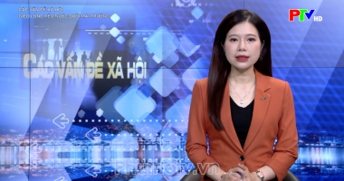 Các vấn đề xã hội – Gieo lòng yêu thương dưới mái trường