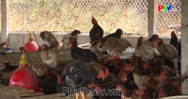 Việc làm cho lao động nông thôn