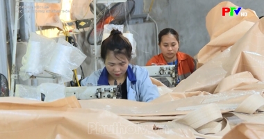 Việc làm cho phụ nữ nông thôn