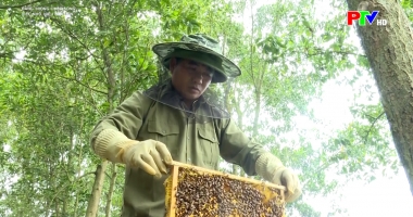 Việc nhỏ - Hiệu quả lớn