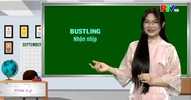 Vui học tiếng Anh - Du xuân