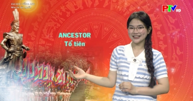 Vui học Tiếng Anh - Nhớ về cội nguồn