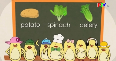 Vui học tiếng Anh - Rau củ