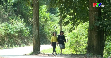 Vườn Quốc gia Xuân Sơn