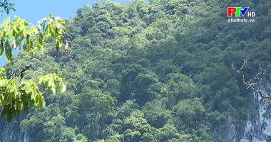 Vườn Quốc Gia Xuân Sơn chủ động PCCR mùa nắng nóng cao điểm