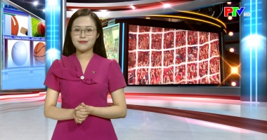 Bản tin thể thao ngày 19-05-2026
