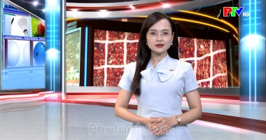 Bản tin thể thao ngày 26-09-2026