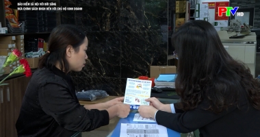 Bảo hiểm xã hội với đời sống ngày 12-02-2026