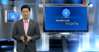 Bảo hiểm xã hội với đời sống ngày 12-3-2026